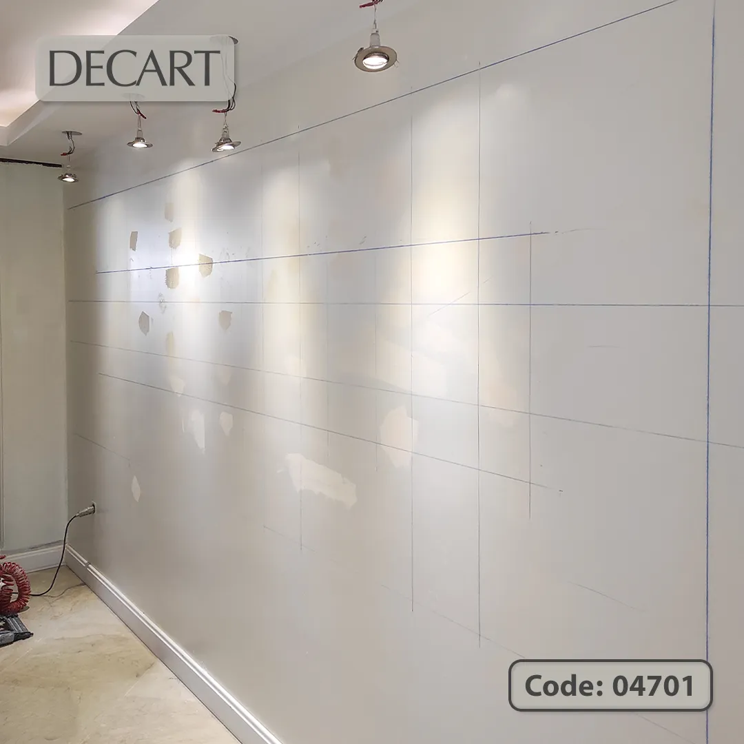 پروژه 47 دکارت-Decart