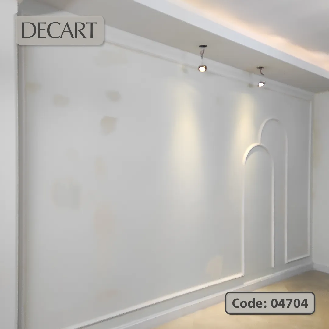 پروژه 47 دکارت-Decart